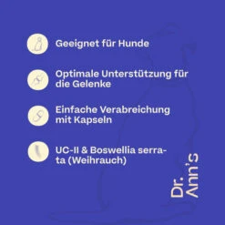 Dr. Ann's Mobility Support Advanced -Bester Tierserien Laden dr anns mobility support advanced 213137 0500 none