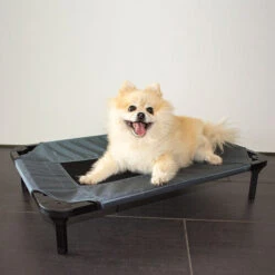 Duvo+ Hundeliege Relax -Bester Tierserien Laden duvo hondenstretcher relax 199796 0500 none