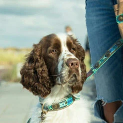 DWAM Halsband Boho Juan 9 DWAM Halsband Boho Juan -Bester Tierserien Laden dwam halsband boho juan 133658 0500 none