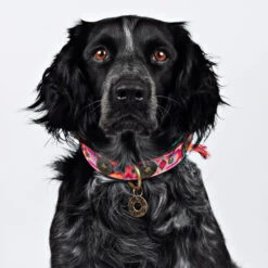 DWAM Halsband Boho Rosa -Bester Tierserien Laden dwam halsband boho rosa 133649 0500 none