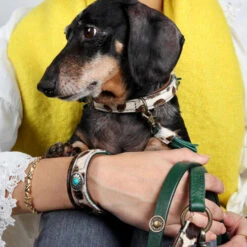 DWAM Halsband Ivy 14 DWAM Halsband Ivy -Bester Tierserien Laden dwam halsband ivy 180688 0500 none