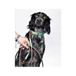 DWAM Hundeleine Johnny Cash -Bester Tierserien Laden dwam hondenriem johnny cash 162814 0500 none