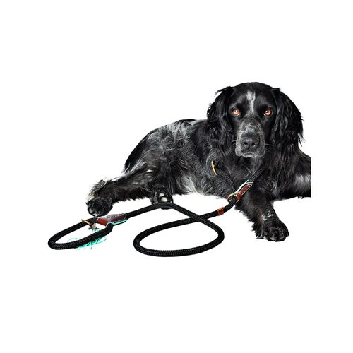 DWAM Hundeleine Long John 4 DWAM Hundeleine Long John – Bild 2