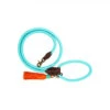 DWAM Hundeleine Türkis -Bester Tierserien Laden dwam hondenriem turquoise 179857 0500 none