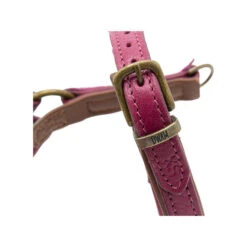 DWAM Hundegeschirr Lou Lou 9 DWAM Hundegeschirr Lou Lou -Bester Tierserien Laden dwam hondentuigje lou lou 182158 0500 none