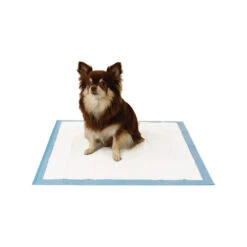 Easypets Trainingpads 9 Easypets Trainingpads -Bester Tierserien Laden easypets trainingspads 184186 0500 none