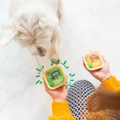 Edgard & Cooper Adult - Lamm & Rind - Im Schälchen 5 Edgard & Cooper Adult - Lamm & Rind - Im Schälchen -Bester Tierserien Laden edgard cooper adult lam rund kuipje 168636 0500 none