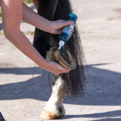 Equi Protecta Blue Wonder Gel -Bester Tierserien Laden equi protecta blue wonder gel 161237 0500 none