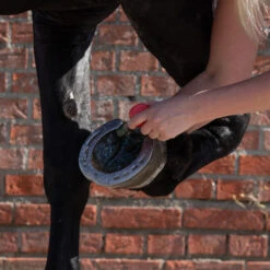 Equi Protecta Blue Wonder Gel -Bester Tierserien Laden equi protecta blue wonder gel 161240 0500 none