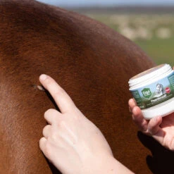 Equi Protecta Pferdesalbe -Bester Tierserien Laden equi protecta paardenzalf 161327 0500 none