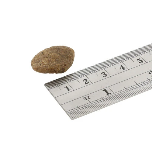 Fish4Dogs Finest Adult Complete - Weißfisch Große Brocken 4 Fish4Dogs Finest Adult Complete - Weißfisch Große Brocken – Bild 2