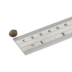 Fish4Dogs Finest Adult Complete - Lachs Kleine Brocken 7 Fish4Dogs Finest Adult Complete - Lachs Kleine Brocken -Bester Tierserien Laden fish4dogs finest adult complete zalm kleine brok 160949 0500 none