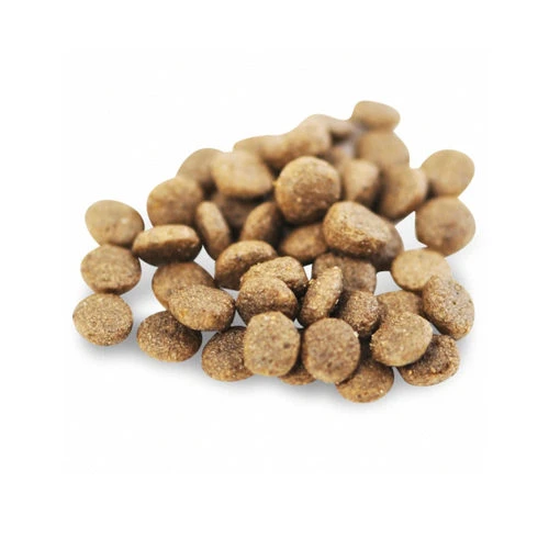 Fish4Dogs Finest Adult Complete - Lachs Kleine Brocken 4 Fish4Dogs Finest Adult Complete - Lachs Kleine Brocken – Bild 2