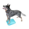FitPAWS Balance Ramp -Bester Tierserien Laden fitpaws balance ramp 176140 0500 none