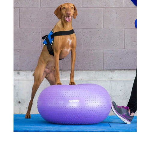 FitPAWS Trax Donut 4 FitPAWS Trax Donut – Bild 2