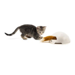 FroliCat Fox -Bester Tierserien Laden frolicat fox 136600 0500 none