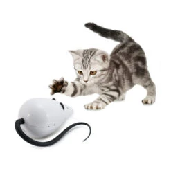 FroliCat RoloRat -Bester Tierserien Laden frolicat rolorat 136585 0500 none