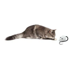 FroliCat RoloRat -Bester Tierserien Laden frolicat rolorat 136588 0500 none