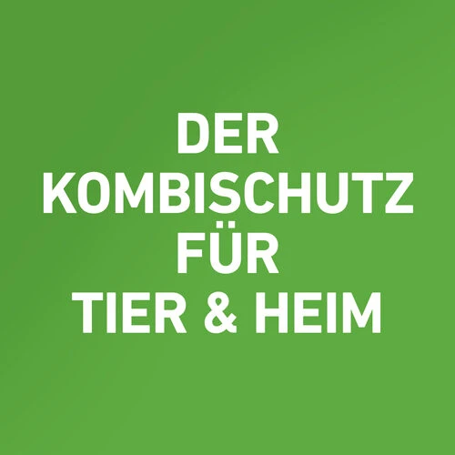 Frontline Combo Spot On Katze 7 Frontline Combo Spot On Katze – Bild 5