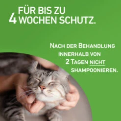 Frontline Combo Spot On Katze 10 Frontline Combo Spot On Katze -Bester Tierserien Laden frontline combo spot on kat 208217 0500 none