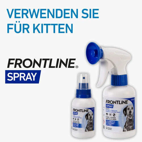 Frontline Spray Gegen Zecken Und Flöhe Für Hunde Und Katzen 7 Frontline Spray Gegen Zecken Und Flöhe Für Hunde Und Katzen – Bild 5