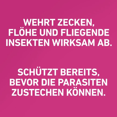 Frontline Tri-Act Gegen Zecken, Flöhe Und Fliegende Insekten Für Hunde 21 Frontline Tri-Act Gegen Zecken, Flöhe Und Fliegende Insekten Für Hunde – Bild 19