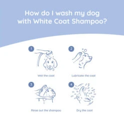 Greenfields Malteser Care Set -Bester Tierserien Laden greenfields malteser care set 220905 0500 none