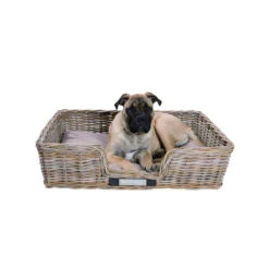 Happy House Weidenkorb Eckig 6 Happy House Weidenkorb Eckig -Bester Tierserien Laden happy house rieten mand recht 167215 0500 none