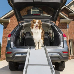 Happy Ride Telescoping Pet Ramp Deluxe 7 Happy Ride Telescoping Pet Ramp Deluxe -Bester Tierserien Laden happy ride telescoping pet ramp deluxe 162499 0500 none