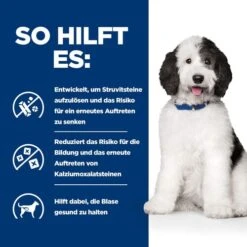 Hill's C/d Multicare Ragout - Prescription Diet - Canine 14 Hill's C/d Multicare Ragout - Prescription Diet - Canine -Bester Tierserien Laden hills cd multicare stoofpotje prescription diet canine 211406 0500 none