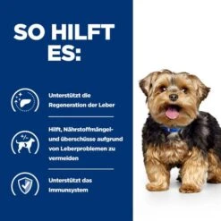 Hill's L/d Liver Care - Prescription Diet - Canine -Bester Tierserien Laden hills ld liver care prescription diet canine 218064 0500 none