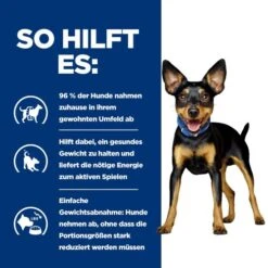 Hill's Metabolic Mini - Prescription Diet - Canine -Bester Tierserien Laden hills metabolic mini prescription diet canine 218076 0500 none