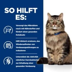 Hill's Prescription Diet - Gastrointestinal Biome - Katzenfutter -Bester Tierserien Laden hills prescription diet gastrointestinal biome kattenvoer 211916 0500 none