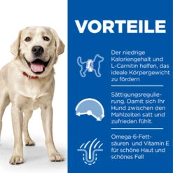 Hill's Science Plan Light - Large Adult Dog -Bester Tierserien Laden hills science plan adult light large 218758 0500 none