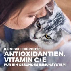 Hill's Science Plan Kitten Perfect Digestion Katzenfutter 13 Hill's Science Plan Kitten Perfect Digestion Katzenfutter -Bester Tierserien Laden hills science plan kitten perfect digestion kattenvoer 213077 0500 none