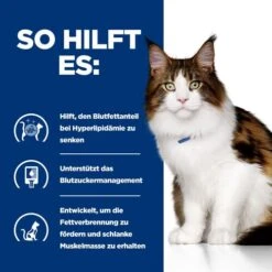 Hill's W/d Low Fat/Diabetes/Colitis - Prescription Diet - Feline -Bester Tierserien Laden hills wd low fatdiabetescolitis prescription diet feline 217973 0500 none