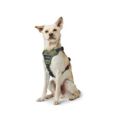 Hunter Geschirr Divo Dunkelblau/Grau -Bester Tierserien Laden hunter harnas divo donkerblauwgrijs 166891 0500 none