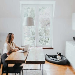 Hunter Eckkorb Livingstone - Grau -Bester Tierserien Laden hunter hoekmand livingstone grijs 175903 0500 none