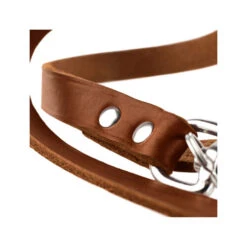 Hunter Trainingsleine - Braun -Bester Tierserien Laden hunter trainingsriem bruin 175345 0500 none