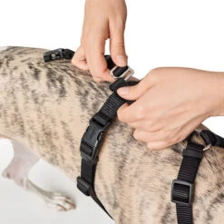 Hunter Vario Rapid Sicherheitsgeschirr - Schwarz -Bester Tierserien Laden hunter vario rapid veiligheidsharnas zwart 169504 0500 none