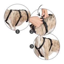 Hunter Vario Rapid Sicherheitsgeschirr - Schwarz -Bester Tierserien Laden hunter vario rapid veiligheidsharnas zwart 169510 0500 none