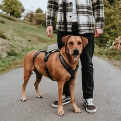 Hunter Sicherheitsgeschirr Maldon -Bester Tierserien Laden hunter veiligheidsharnas maldon 221547 0500 none