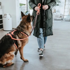 Hunter Sicherheitsgeschirr Maldon -Bester Tierserien Laden hunter veiligheidsharnas maldon 221557 0500 none