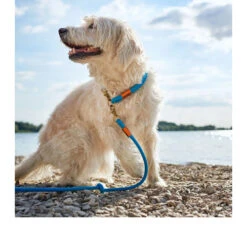 Hunter Verstellbare Führleine Oss -Bester Tierserien Laden hunter verstelbare riem oss 116580 0500 none