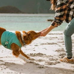 Hurtta Cooling Wrap - Hellblau -Bester Tierserien Laden hurtta cooling wrap lichtblauw 178456 0500 none