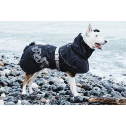 Hurtta Drizzle Coat Für Hunde -Bester Tierserien Laden hurtta drizzle regenjas 119218 0500 none