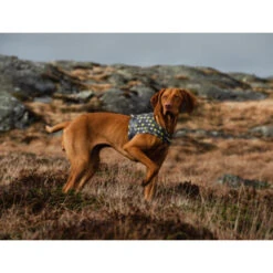 Hurtta Go Geschirr Storm Grey -Bester Tierserien Laden hurtta go harness storm grey 201305 0500 none