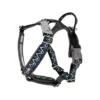 Hurtta Razzle Dazzle Y-Harness - Blackberry -Bester Tierserien Laden hurtta razzle dazzle harness blackberry 175969 0500 none