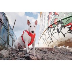 Hurtta Weekend Warrior Eco Geschirr -Bester Tierserien Laden hurtta weekend warrior eco harness 189132 0500 none