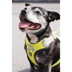 Hurtta Weekend Warrior Geschirr 30 Hurtta Weekend Warrior Geschirr -Bester Tierserien Laden hurtta weekend warrior harness 189093 0500 none